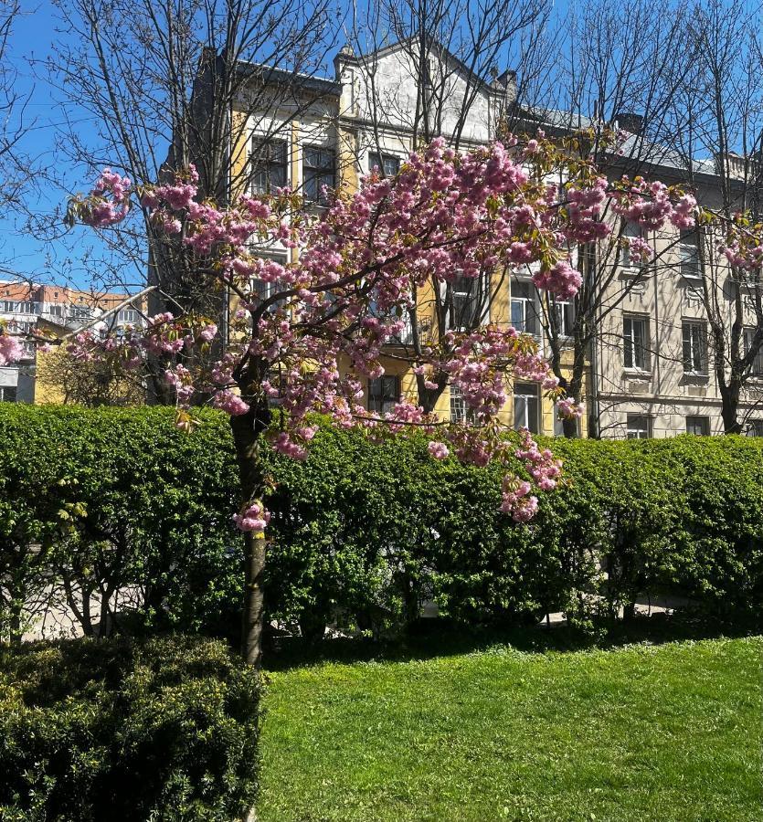 Iren Smart Apartment Lviv Kültér fotó